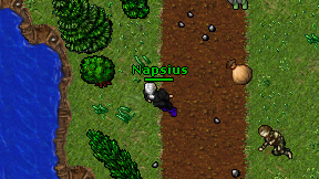 Napsius on screen