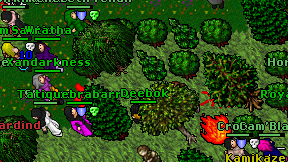 Deebok on screen