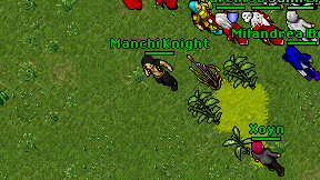 Manchi Knight on screen