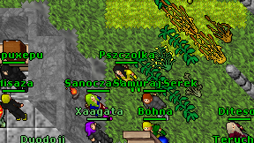Pszczolka on screen