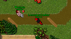 Leoomatador on screen