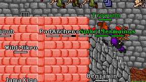 Nibowov on screen