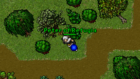 Peter of Refugia on screen