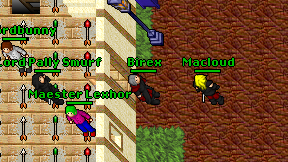 Birex on screen