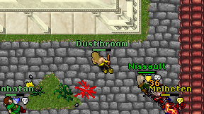 Dust broom on screen