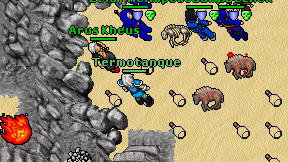 Termotanque on screen