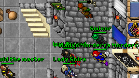 Leu Wizard on screen