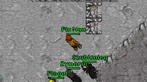 Fix Max on screen