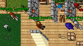 Jogga Bonito on screen
