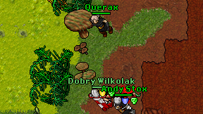 Querax on screen