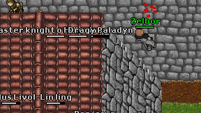 Dragy Paladyn on screen