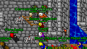 Sumo-fighter on screen