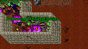 Royal Furius on screen