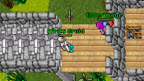 Ifrits druid on screen
