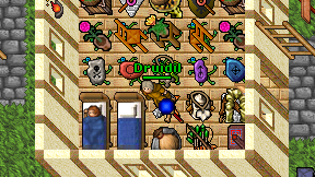 Druidil on screen