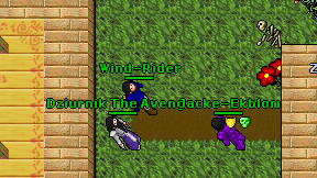 Wind-Rider on screen