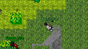 Karinha on screen