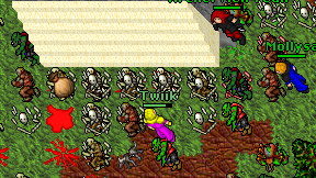 Twiik on screen