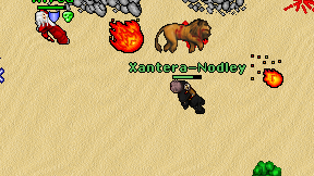 Xantera-Nodley on screen