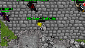 Mutano Paladin on screen