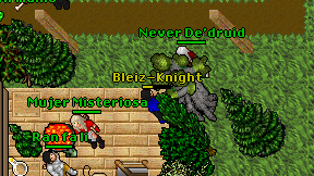 Bleiz-Knight on screen