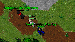 Deic on screen