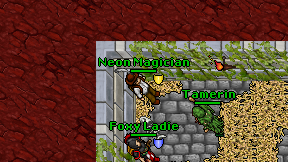 Neon Magician on screen
