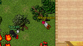 Sharodin on screen
