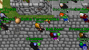 Dzika Terrorystka on screen