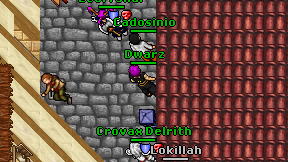 Dwarz on screen