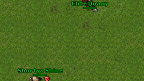 Elite Quaxy on screen