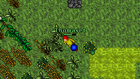 Thomaset on screen
