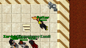 Feltor on screen