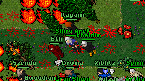 Shiro Arek on screen