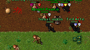 Neos Laukin on screen
