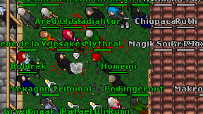 Paladinekk on screen