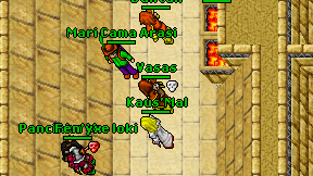 Vasas on screen