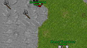 Ganduss on screen