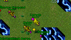 Careth on screen