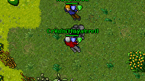 Driftty on screen