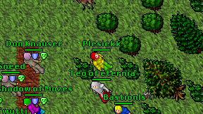 Plesiekk on screen