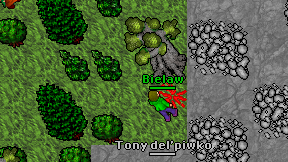 Bielaw on screen