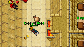 Ciccy Elliot on screen