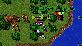 Boo'Zinha on screen