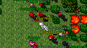 Fox'Mix on screen