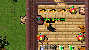 Dres Cetraxim on screen