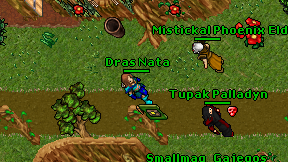 Dras Nata on screen