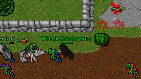 Witek Zdobywca on screen