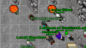 Pultasekagatka on screen