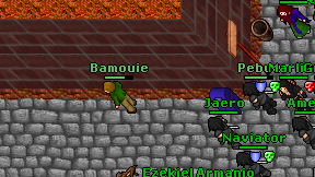Bamouie on screen
